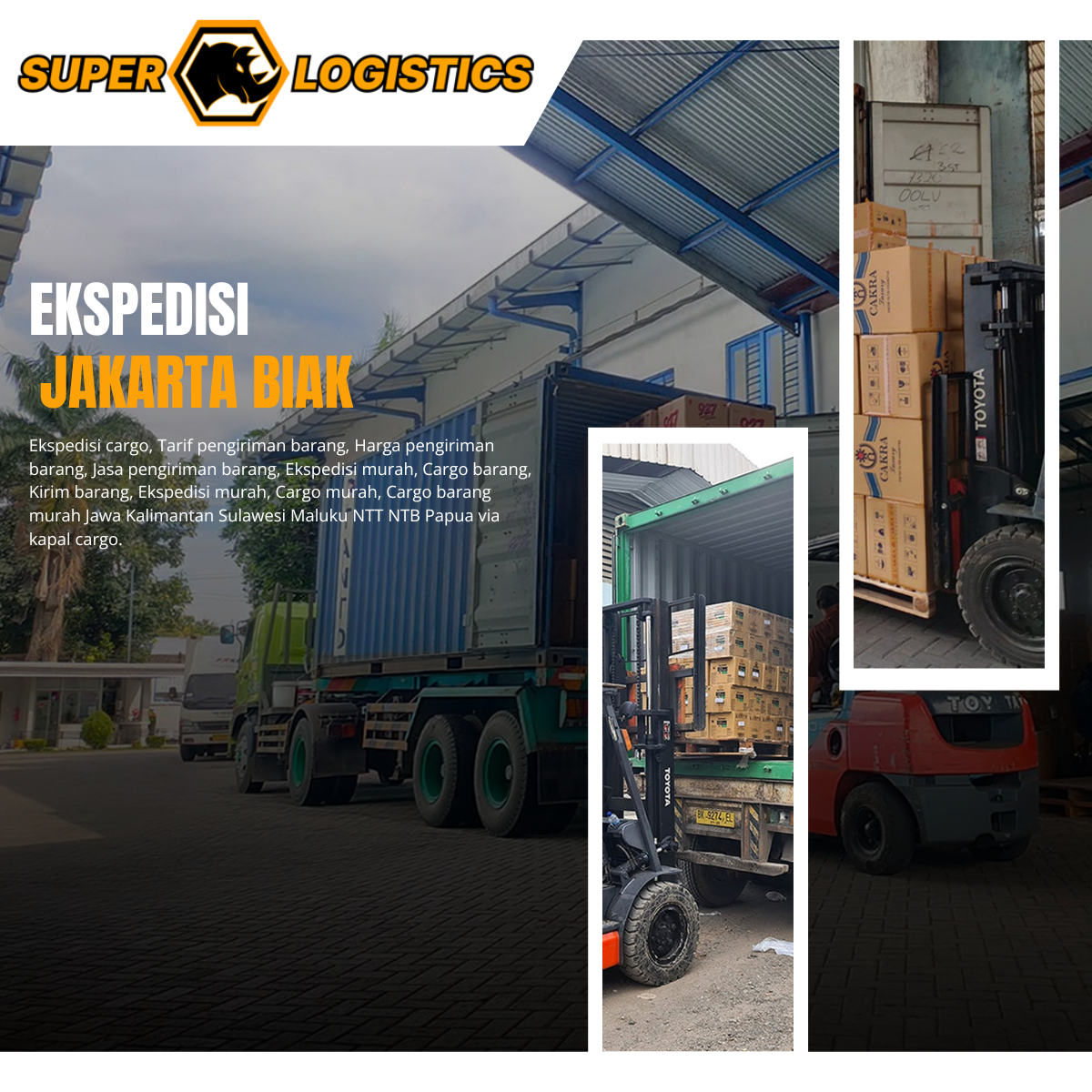 Ekspedisi Container Jakarta Biak