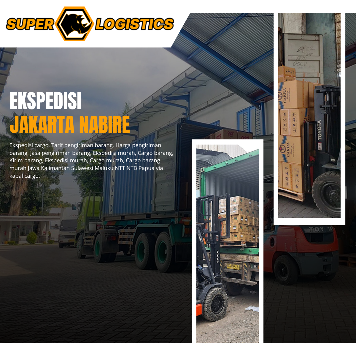 Ekspedisi Container Jakarta Nabire