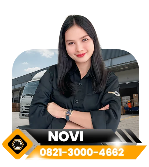 NOVI SALES
